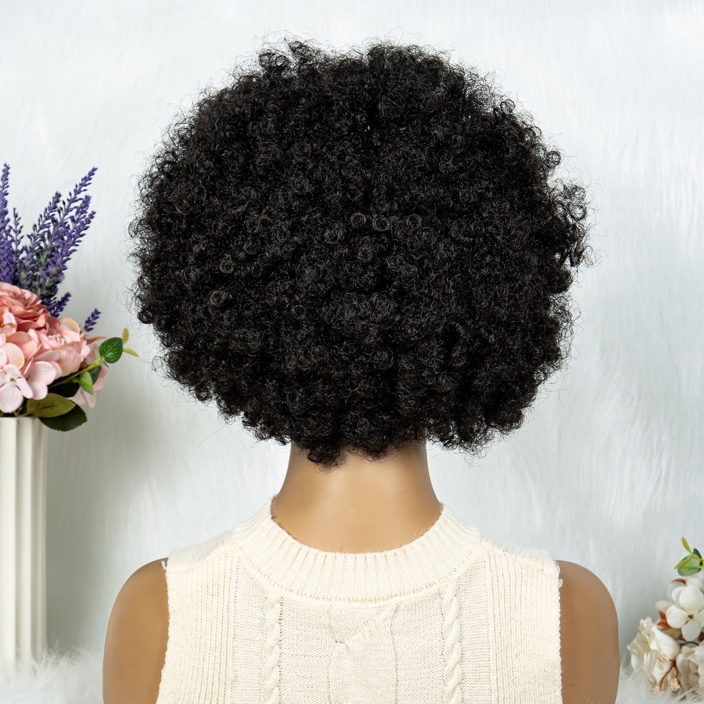 S SEDITTYHAIR Synthetic Lace Front Wig Braids Afro Hair Wig for Black Women 10 inches 13x6