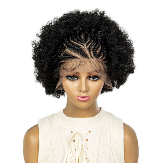 S SEDITTYHAIR Synthetic Lace Front Wig Braids Afro Hair Wig for Black Women 10 inches 13x6
